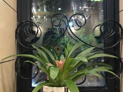 -红房子西菜馆(淮海中路店)