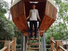 -南宁良凤江国家森林公园