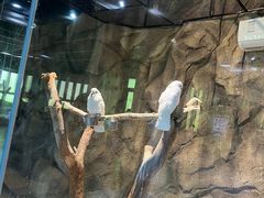 -海合安武汉极地海洋公园
