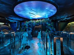 -陕西自然博物馆