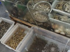 -阿杰臻选海鲜饭店(普陀山店)