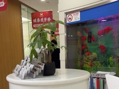 -雅悦齿科(顾村公园店)