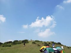 -大姆山草场