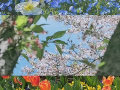 -上海辰山植物园