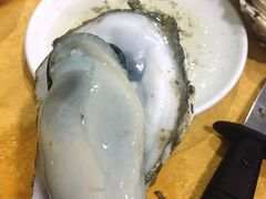 -蚝专家(北滘店)