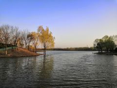 -东郊湿地公园