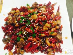 -茅庐毛血旺(烟台大悦城店)