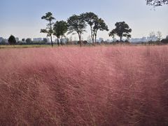 -汉长安城未央宫国家考古遗址公园