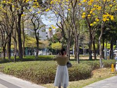 -深圳市人才园(深南大道店)