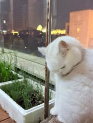 -兮奈ネイル美甲美睫·皮肤管理