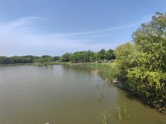-贡湖湾湿地公园