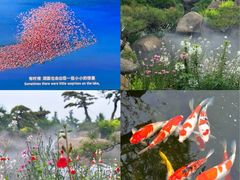 -罗红摄影艺术馆