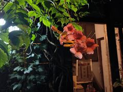 -斯多格书乡(北京大学畅春园店)