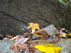 -藏龙百瀑风景区