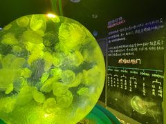 -正佳极地海洋世界
