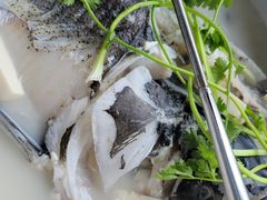 -宝荣鱼馆·临湖之宴(千岛湖店)