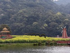 -广州市石门国家森林公园