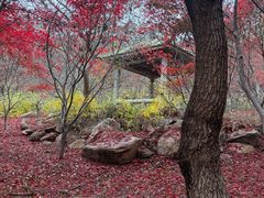 -石岛赤山风景区
