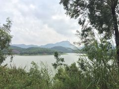 -大屏嶂森林公园