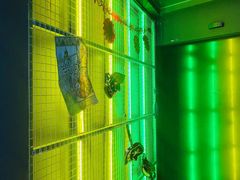 -暗楼·剧本杀·桌游