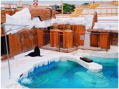 -秦皇岛乐岛海洋王国