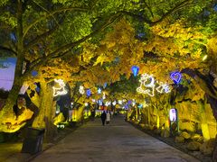 -横店影视城梦幻谷园区