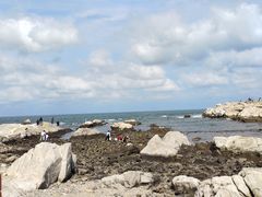 -养马岛旅游度假区