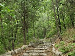 -阳台山自然风景区