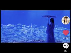 -哈尔滨波塞冬海底世界