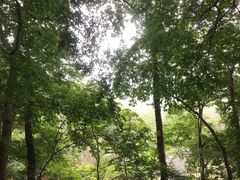 -南山风景名胜区