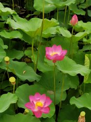 -大望京儿童游乐场