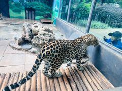 -昆明动物园