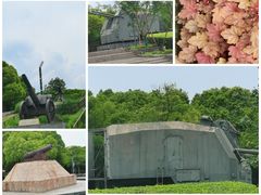 -上海吴淞炮台湾国家湿地公园