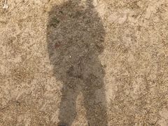 -东姑阿都拉曼海洋公园