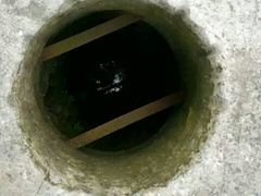 -定园