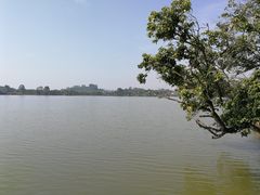 -鹤之洲湿地公园