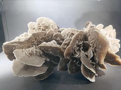 -淮安市博物馆
