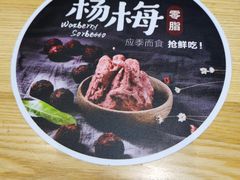 -野人先生现做冰淇淋(北京环宇荟店)