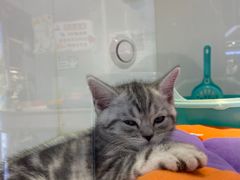 -龟与熊猫宠物公园(南坪店)