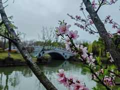-狼山风景名胜区