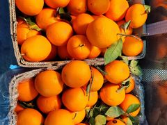 -四季水果蔬菜园(闽江路店)