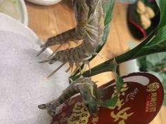 -尚海豆捞(乐虹坊店)