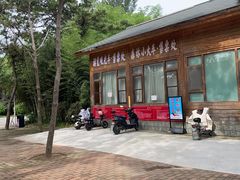 -日照海滨国家森林公园