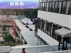 -大队长大灶鹅