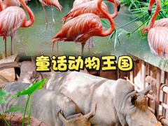 -长鹿旅游休博园