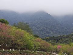 -福清灵石山国家森林公园