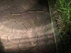 -上海怡沁园度假酒店