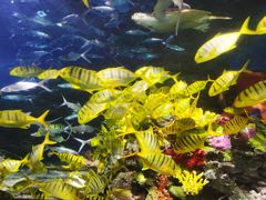 -太平洋海底世界