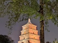 -回坊马二饺子馆