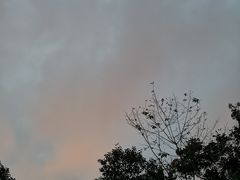 -九度仙境·影院足道·泡浴SPA·瑜伽